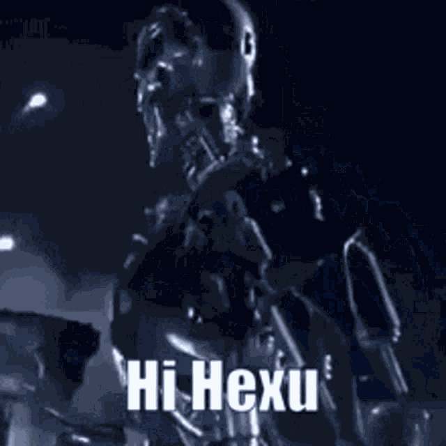 Hi Hexu Terminator GIF