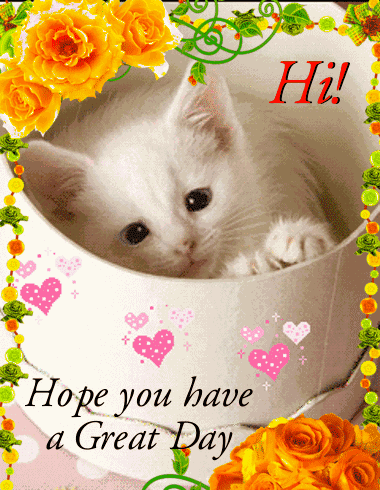 Hi Kitty Hi GIF