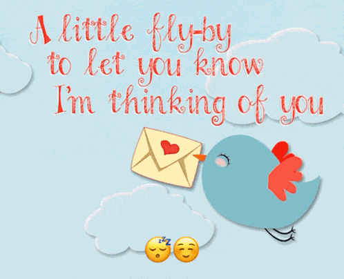 Hi Little Birdie GIF