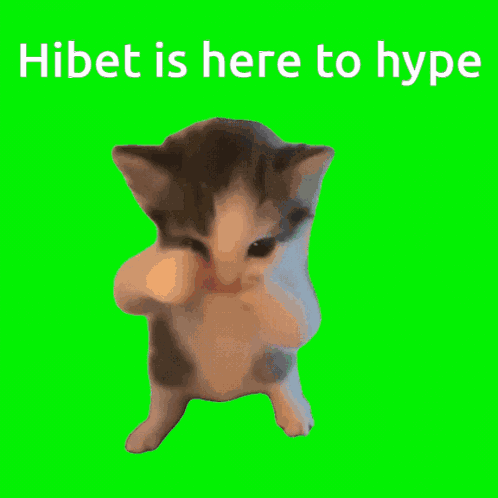Hibet Hype GIF