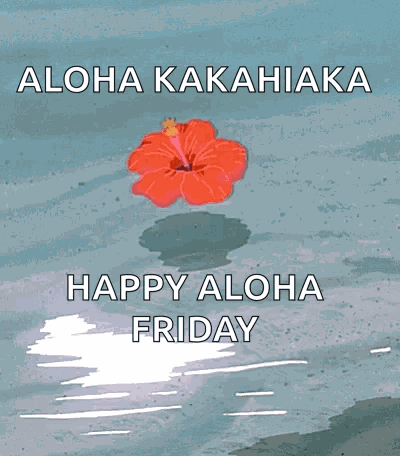 Hibiscus Aesthetically GIF