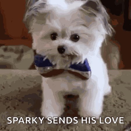 Highfive Puppy GIF