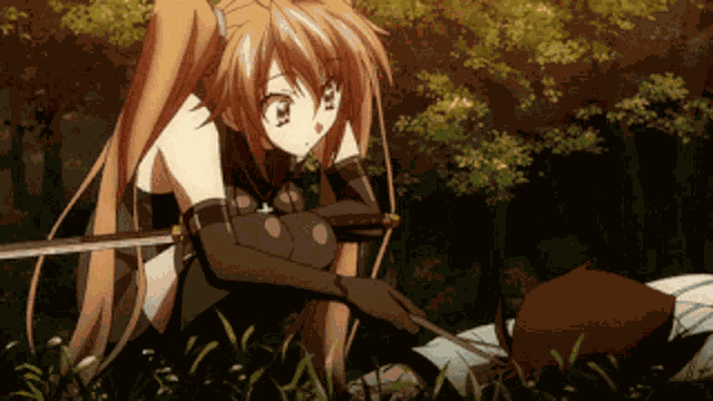Highschool Dxd Anime GIF