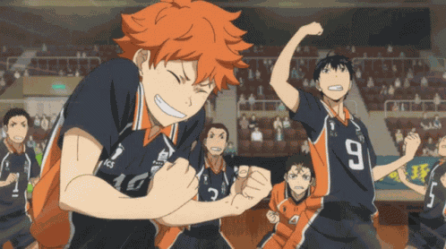 Hinata Shoyo GIF
