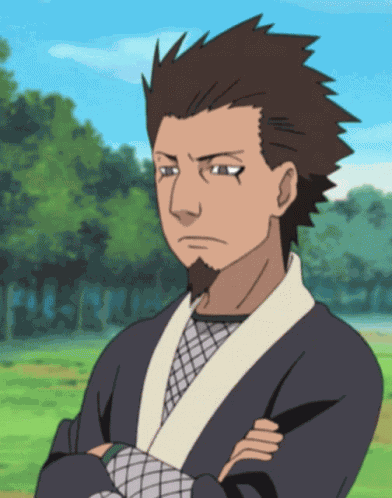 Hiruzen Hokage GIF