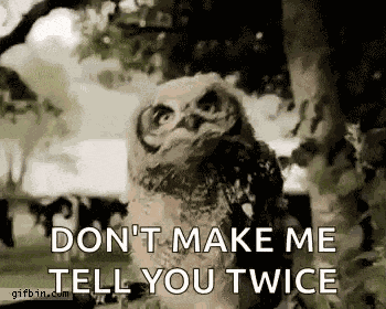 Hithere Whatsup GIF