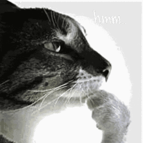 Hmmmm GIF