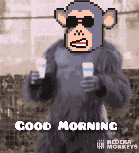 Hmnky Monkey GIF