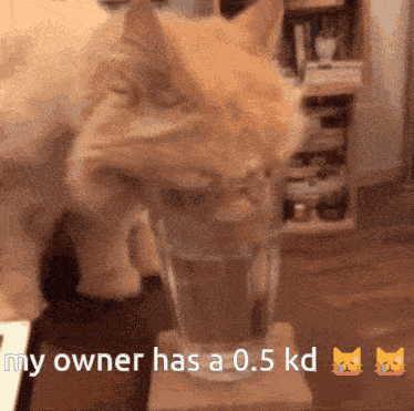 Hobs 0 GIF