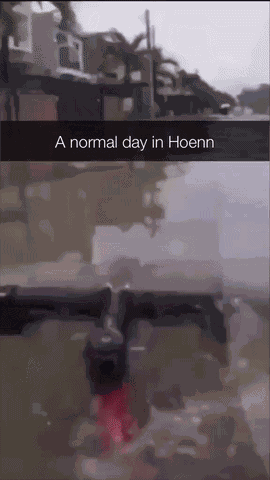 Hoenn Pokemon Hoenn GIF