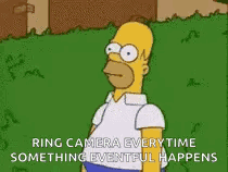 Hoer Simpson Scared GIF