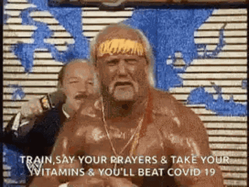 Hogan Wwe GIF
