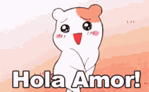 Hola Amor Hamster GIF
