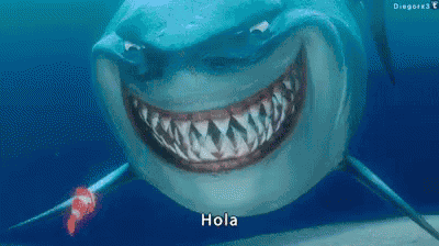 Hola GIF