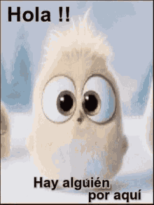 Hola GIF