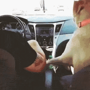 Holding Hands Dog GIF