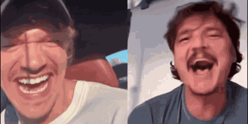 Hollanov Pedro Pascal GIF