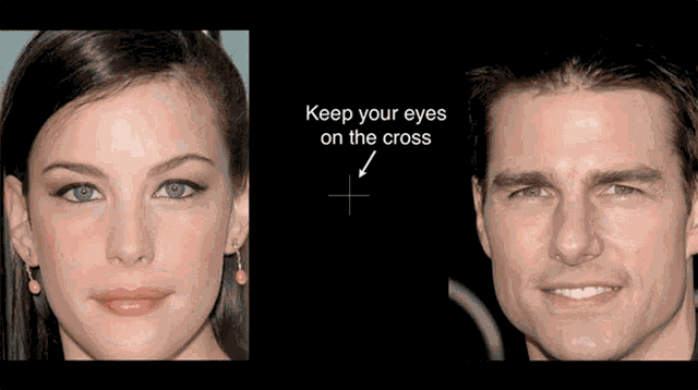 Hollywood Artists Optical Illusion GIF