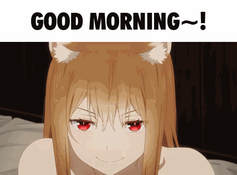 Holo The Wisewolf Spice And Wolf GIF