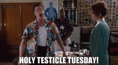 Holy Cow Tuesday GIF