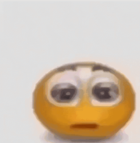 Holy Moly No Way GIF