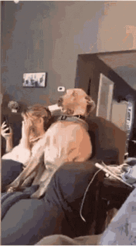 Holy Shit Shocked GIF