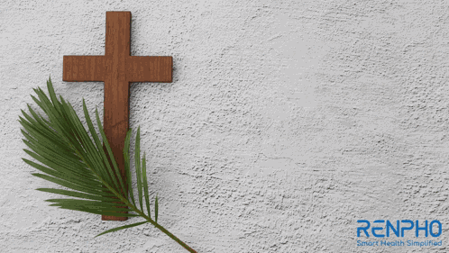 Holy Week Renpho GIF