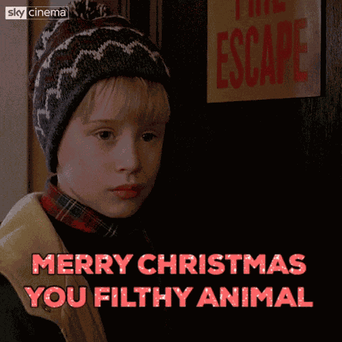 Home Alone Home Alone 2 GIF