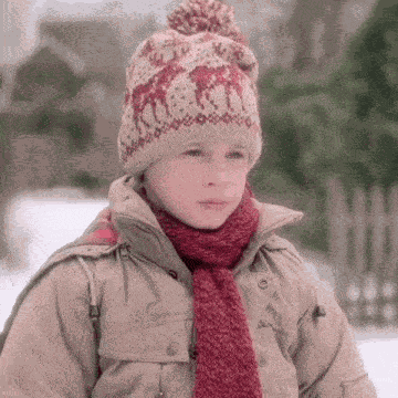 Home Alone Hone Alone 1 GIF