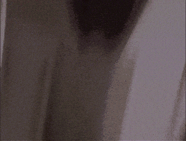 Home Alone Marv Meme GIF