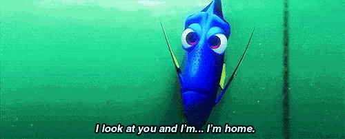 Home Dory GIF