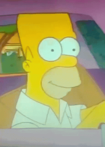 Homer Homer Simpson GIF
