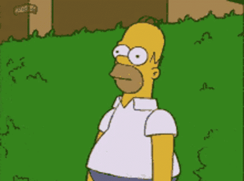 Homer Homer Simpson GIF