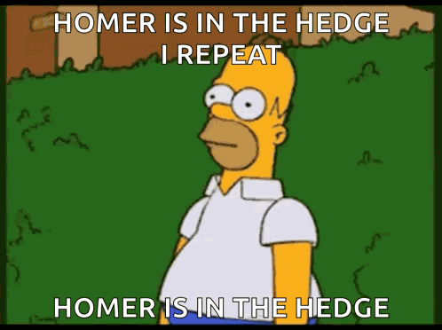 Homer Homer Simpson GIF