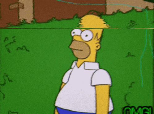 Homer Homer Simpson GIF