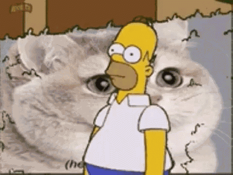 Homer Simpson Disappear GIF