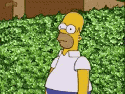Homer Simpson Disappear GIF