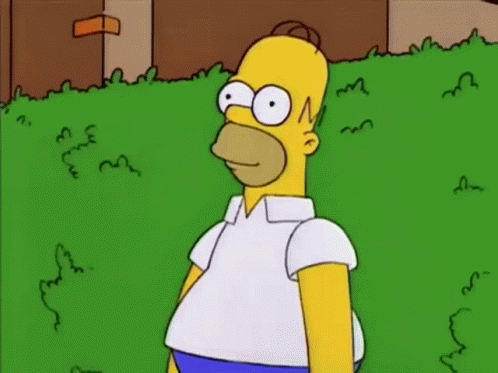 Homer Simpson Homer GIF