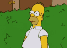 Homer Simpson GIF
