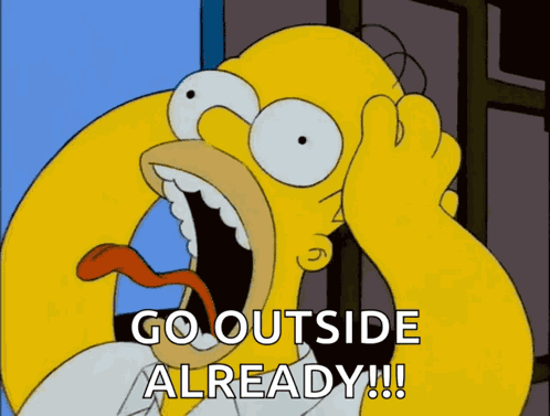 Homer Simpson GIF