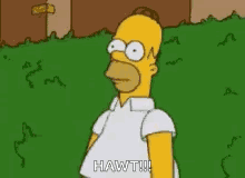 Homer Simpson GIF
