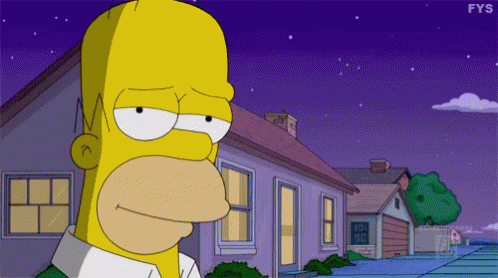 Homer Simpson The Simpsons GIF