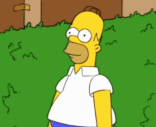 Homer GIF
