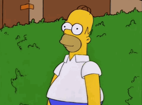 Homero Simpson GIF