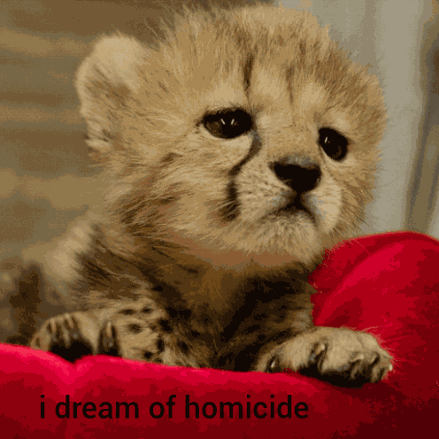 Homicide Dreams GIF