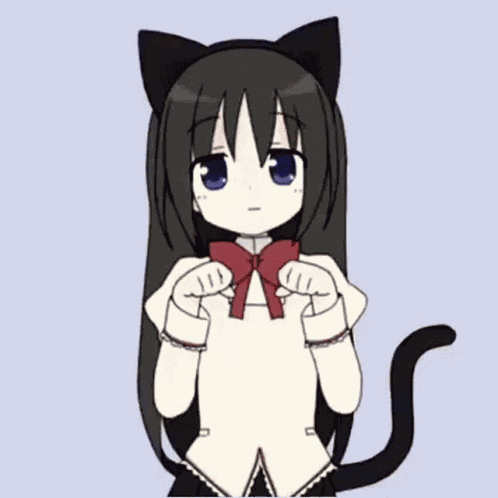 Homura Homura Cat GIF