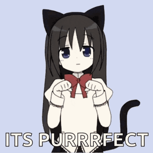 Homura Homura Cat GIF