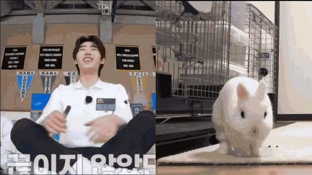 Hoon Coniglietto Sunghoon Coniglietto GIF