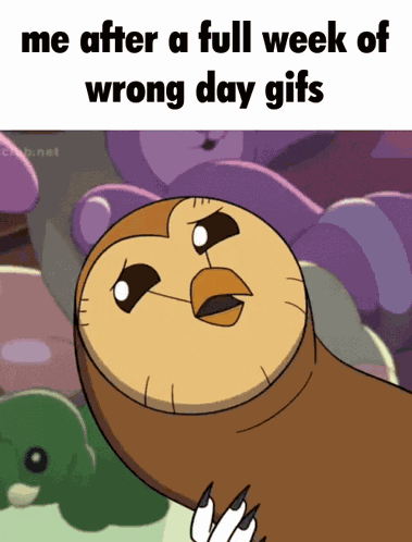 Hooty Wrong Day GIF