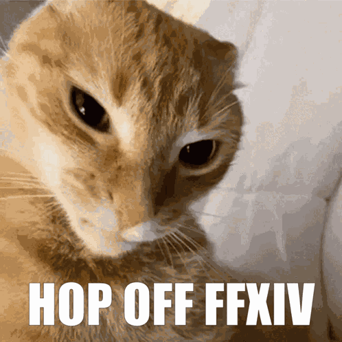 Hop Off Ffxiv Cat GIF